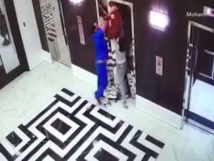 路過醫(yī)生反應(yīng)迅速，救下牽繩被電梯夾住的小狗