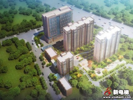 232臺！菱王電梯成功中標(biāo)河南安陽林州市安置房特大電梯項目