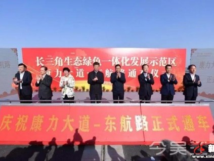 5分鐘到上海！長三角示范區(qū)康力大道東延工程正式通車