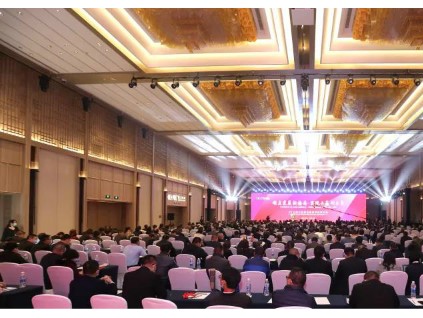 順應(yīng)發(fā)展新格局 實現(xiàn)共贏創(chuàng)未來--2021康力電梯全球合作伙伴大會成功召開