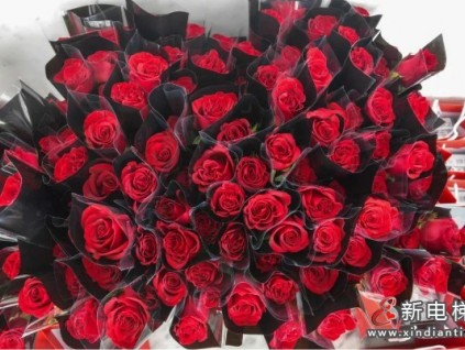 新電梯早新聞 3月3日，星期三，農(nóng)歷正月二十