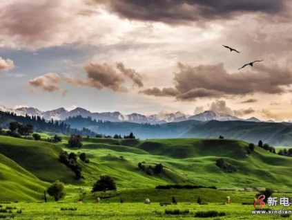 新疆，美得很！巨人通力，攢勁的很！