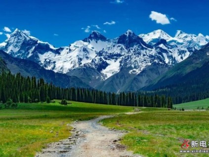 大美新疆，萊茵在這里等你！