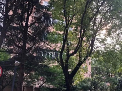 加裝電梯，給一樓準(zhǔn)備9萬(wàn)感謝金！網(wǎng)友吵翻：該不該給底樓補(bǔ)償？