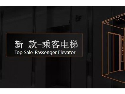 卓越新品，重磅發(fā)布 | 菱王電梯震撼“雙品”正式發(fā)布！