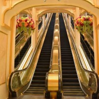 石家莊電梯 家用別墅復(fù)式電梯 室內(nèi)外觀光電梯免費安裝