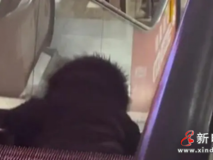 北京一超市自動扶梯“吃人”？人已救出 事故原因正在排查