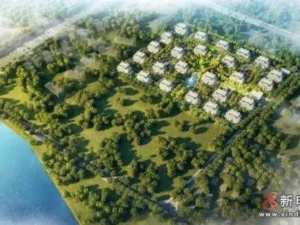 直隸?？?| 萊茵攜手匠心精筑理想海生活