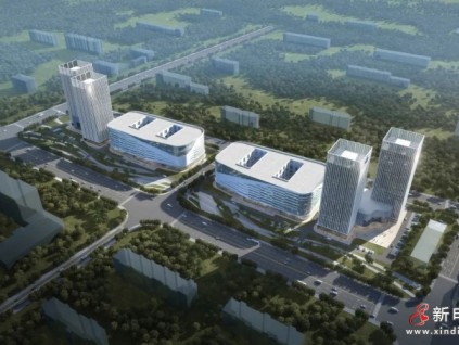 74臺(tái)康力電梯賦能閩魯智能港 助力產(chǎn)業(yè)“追高逐新”