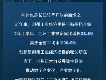 更穩(wěn)的守護(hù)｜省級(jí)重點(diǎn)項(xiàng)目，用菱王！