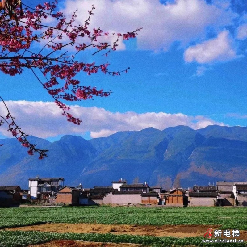 微信圖片_20231117102956