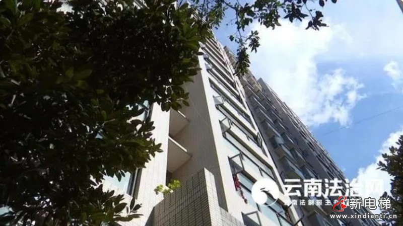 微信截圖_20231215113207