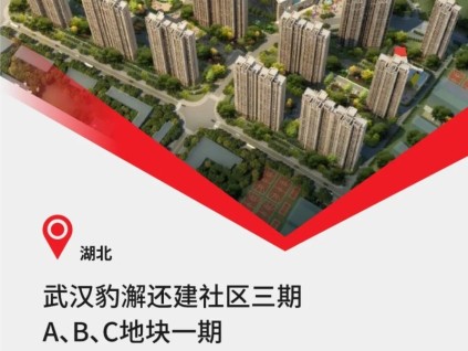 中建三局&40臺康力電梯，武漢重大民生工程！