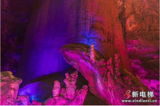 微信截圖_20240424113729