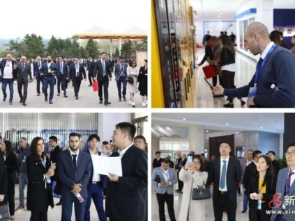 【媒體看遠大】沈陽遠大帶頭“抱團出海”，推動裝備制造“走出去”！