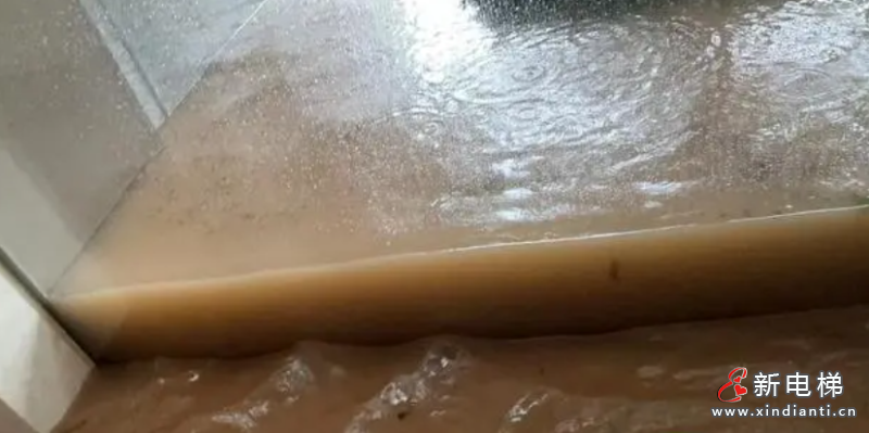 屏幕截圖 2024-07-12 111125