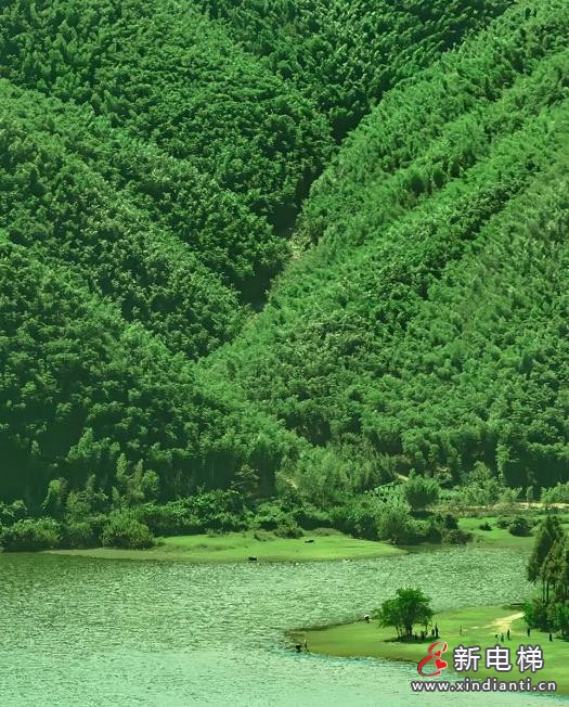 360截圖20240730094001176