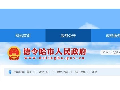 青海某德令哈市一公司電梯維?，F(xiàn)場工作人員少于兩人，被罰15000元