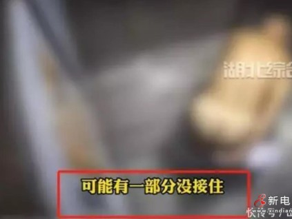 事發(fā)湖北，7旬老人在電梯大便，被物業(yè)無(wú)碼曝光后不堪受辱自殺！兒子回應(yīng)