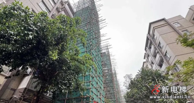 微信截圖_20250224105050