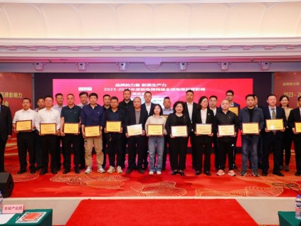 中國新電梯網(wǎng)絡(luò)2024－2025年度中國電梯安裝維保模范單位TOP30、模范個人TOP10評選推薦報名開始