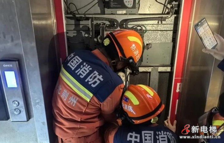 微信截圖_20250313111724