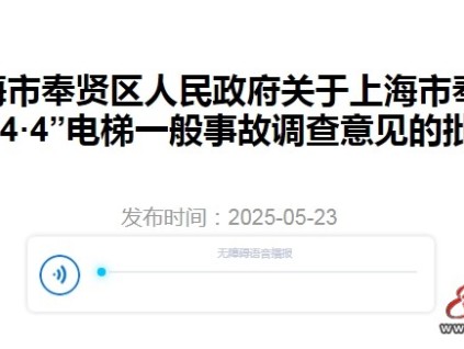 上海市奉賢區(qū)人民政府關于奉賢區(qū)"4·4"電梯一般事故調(diào)查意見的批復