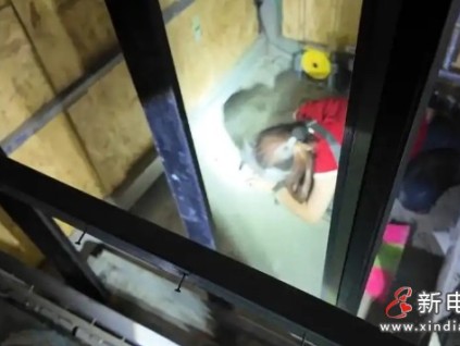 安徽蚌埠某別墅電梯一名女工在測試時轎廂突然下降被壓電梯轎廂底部