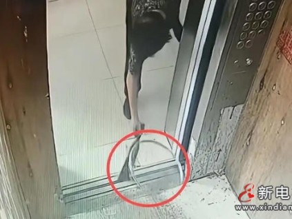 浙江老太"柴刀擋電梯"事件：一個(gè)糊涂決定引發(fā)的連鎖災(zāi)難