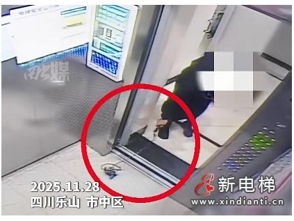 四川樂山一業(yè)主無心之失釀險情 寵物繩卡電梯致急停！
