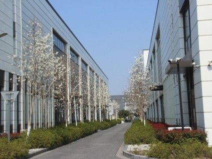 人物專訪｜萬修哲副總裁：讓西柏思成為家的首選，共促行業(yè)健康發(fā)展