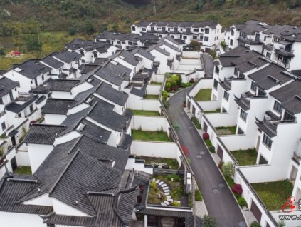 Cibes西柏思連續(xù)蟬聯(lián)2026別墅電梯類TOP品牌前三，差異化技術(shù)與服務(wù)能力成關(guān)鍵優(yōu)勢(shì)