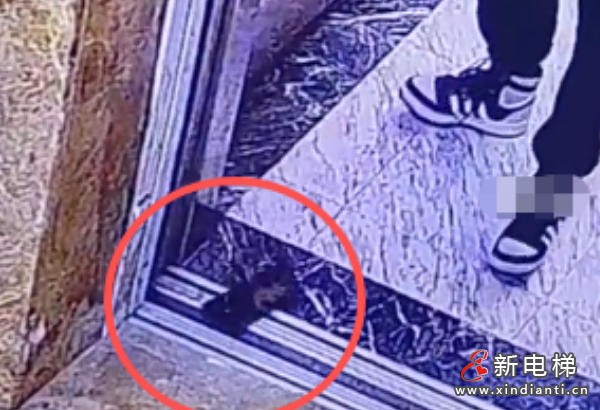 ScreenShot_2026-03-31_145517_858