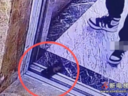 貴州遵義一男子按電梯按出“意外”：手機掉落電梯井先一步“下樓”了