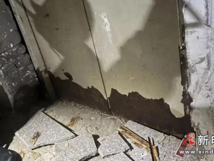 半年停運！河南商丘和悅社區(qū)26層高樓僅剩一臺電梯運行